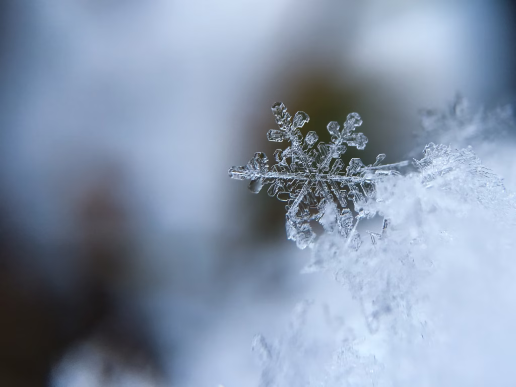 Dakdekker Eindhoven 12 Sneeuwschade dakdekker dakschade