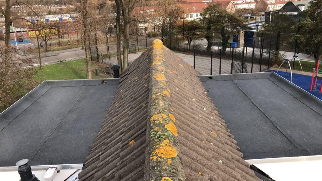 Dakwerkzaamheden aanvraag 3 dakwerkzaamheden