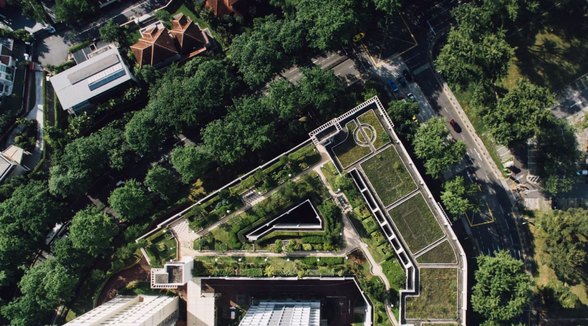 groene-daken-vegetatiedaken