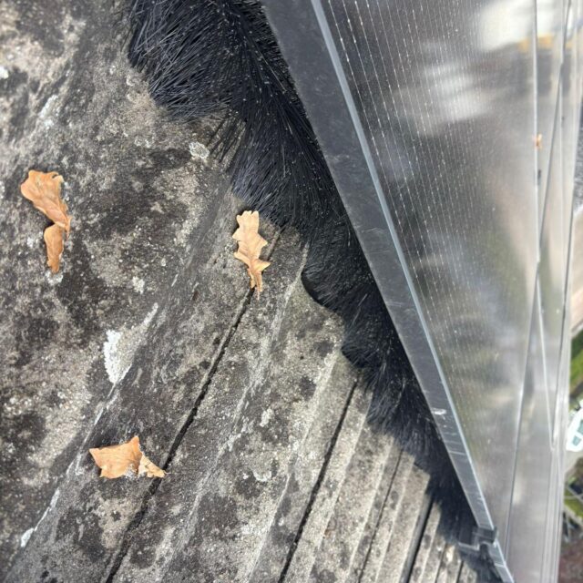 vogelnest onder zonnepaneel