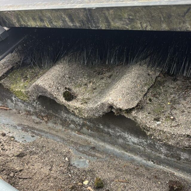 vogels onder zonnepanelen