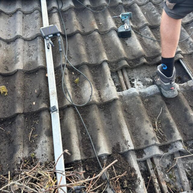 zonnepanelen vogelwering