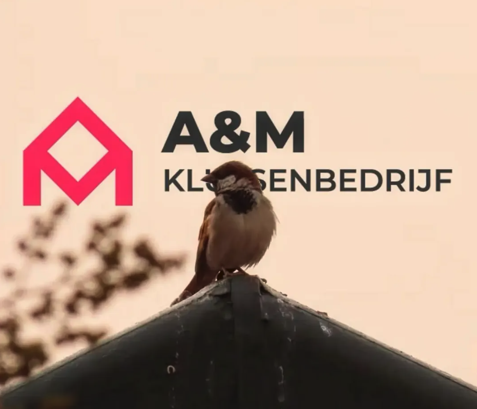 Heb je hulp nodig met jouw dak in Zeeuws-Vlaanderen  of omgeving? A&M Klussenbedrijf staat voor je klaar! Wij zijn een jong, energiek en dynamisch bedrijf waar klanttevredenheid en uitstekende service centraal staan. Sinds onze oprichting in 2013 hebben wij ons snel ontwikkeld tot een vertrouwde naam in de regio Zeeuws-Vlaanderen en omstreken. Wat kan je van ons verwachten? Ervaren vakmensen: Ons team bestaat uit deskundige dakdekkers met uitgebreide kennis van verschillende daktypen en materialen. Focus op kwaliteit: Vakmanschap staat bij ons voorop. Elk project wordt nauwkeurig en duurzaam uitgevoerd. Persoonlijke service: Wij luisteren naar uw wensen en denken graag met u mee om tot de beste oplossing te komen, passend bij uw situatie en budget. Duurzame oplossingen: We gebruiken uitsluitend hoogwaardige materialen en werken altijd met oog voor een lange levensduur van uw dak. Betrouwbare afspraken: Wij staan bekend om onze heldere communicatie, eerlijke prijzen en het nakomen van afspraken. Tevreden klanten: Ons groeiende aantal tevreden klanten in Den Bosch en omgeving is het bewijs van onze toewijding aan kwaliteit en klantgerichtheid.