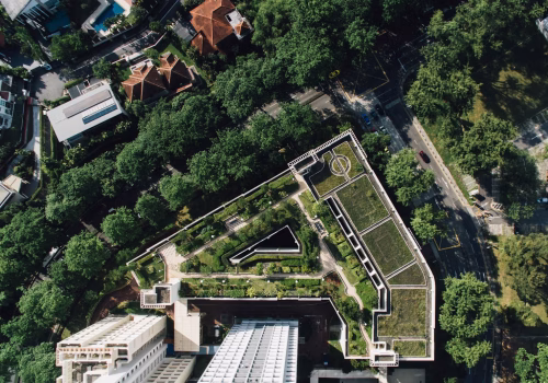 groene-daken-vegetatiedaken